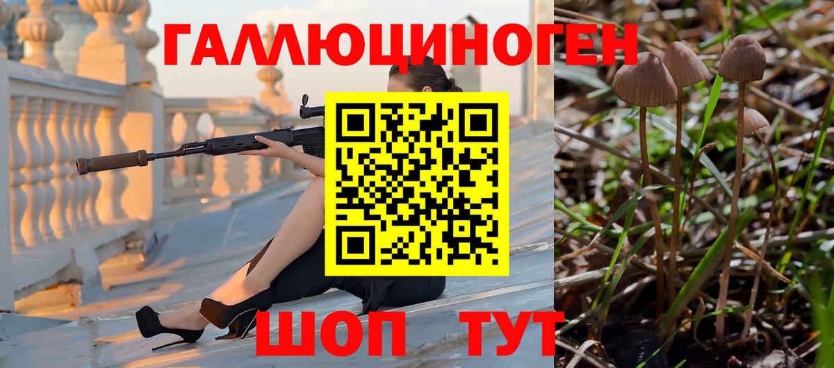 Канабис  Кокаин  Гашиш  Вход с VPN  Родники  НБОМе  МЕФ кристаллы  ГАШ  ЭКСТАЗИ 